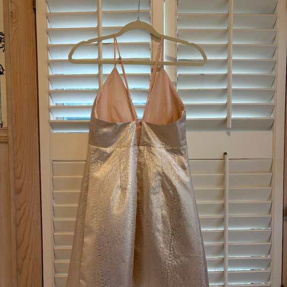 Champagne cocktail mini dress - Picture 3 of 4